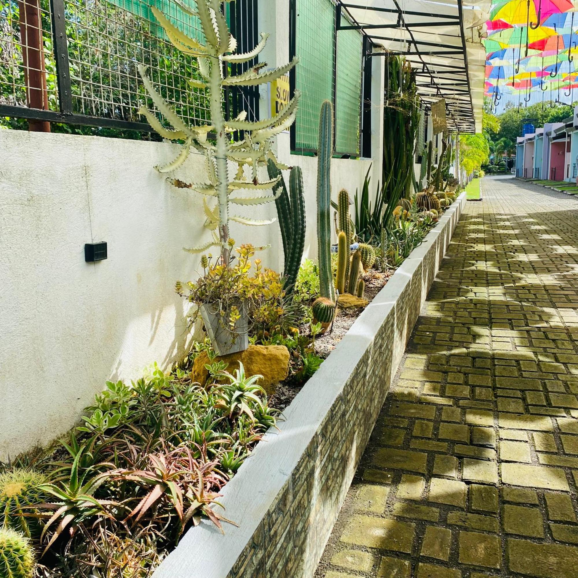 Sunshine Stay Panglao Exterior foto